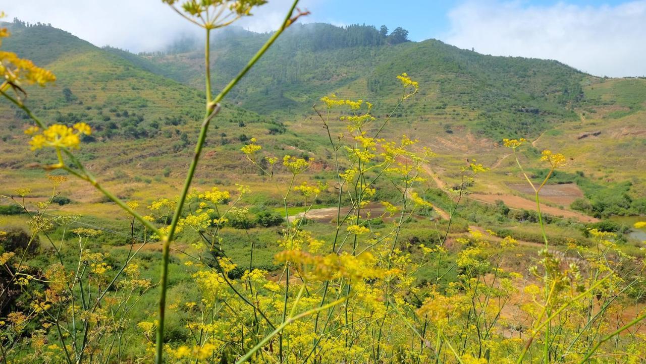 Hotel Rural Finca La Hacienda Лос Силос Екстериор снимка